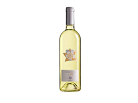 colli di scandiano e canossa - vini bianchi rimini - vino bianco rimini