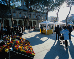 monumenti morciano di romagna